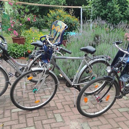 Ferienwohnung Am Olbasee Malschwitz Eksteriør billede